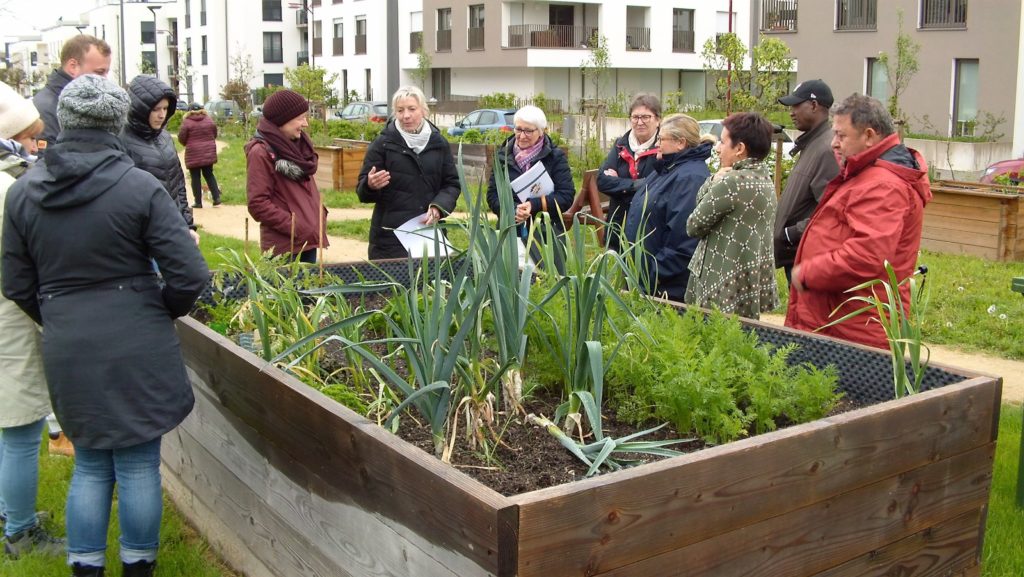 Workshop Urban Gardening