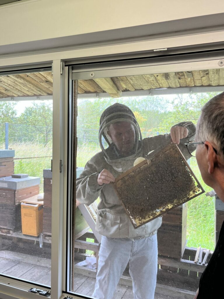 A la découverte de l’apiculture