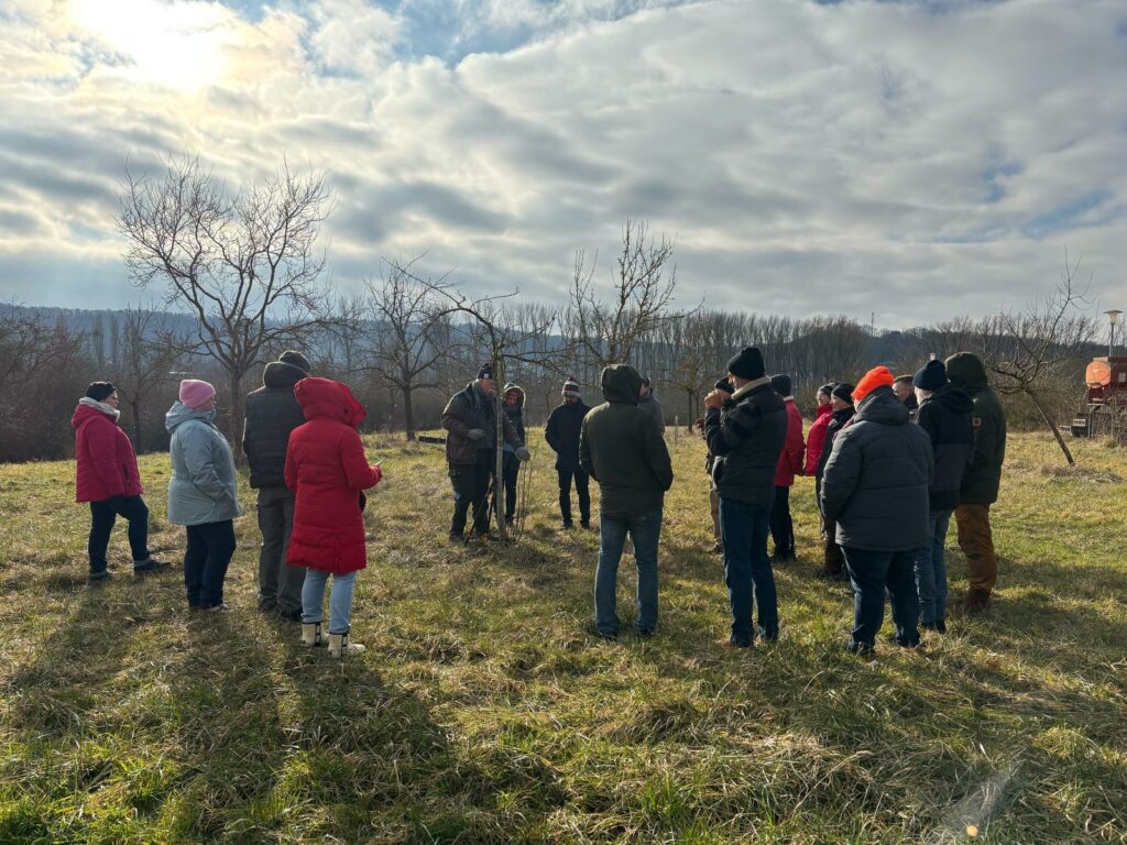 Bamschnëttcours – Cours de taille d’arbres – Baumschnittkurs