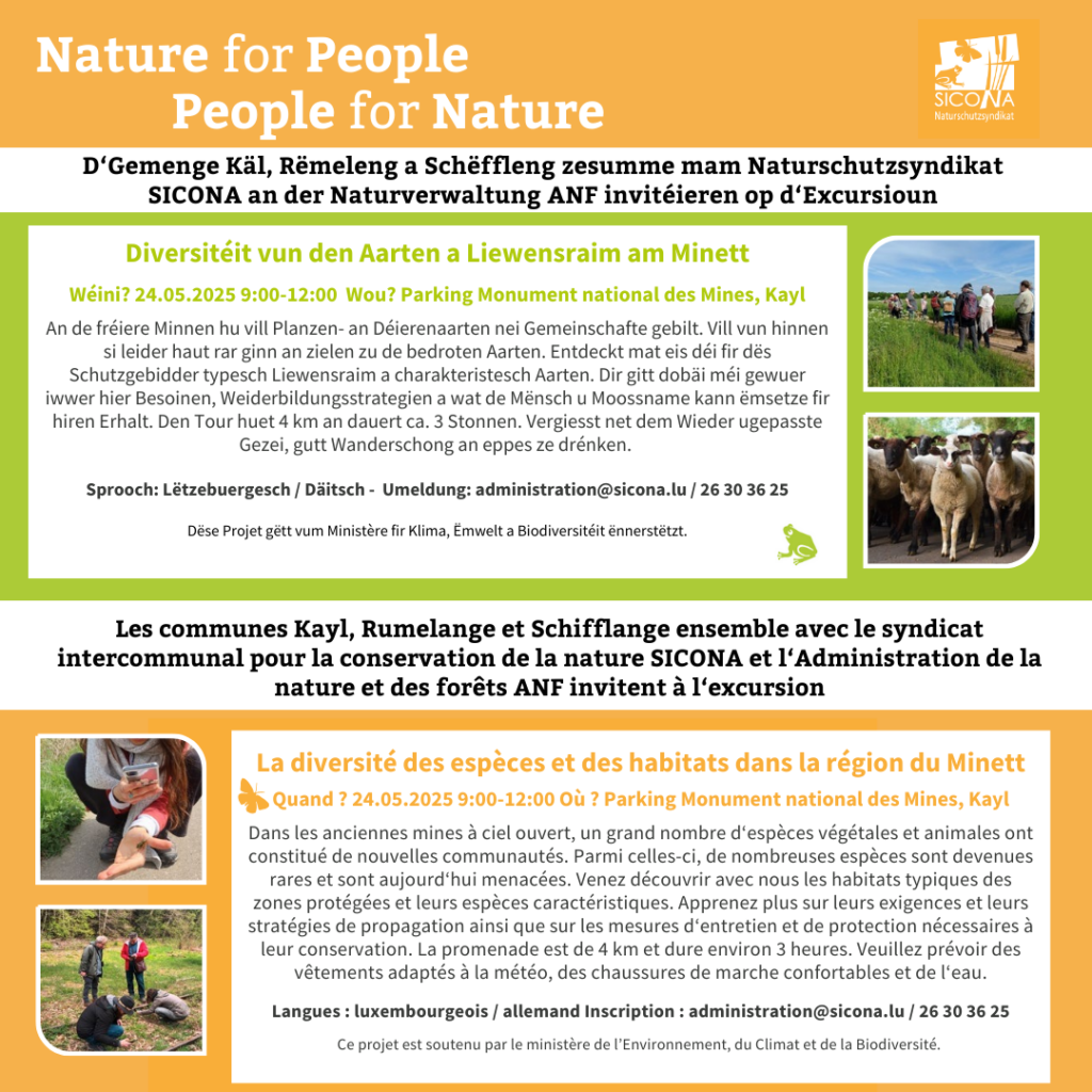 SICONA – 24.05.2025 – Excursioun am Minett