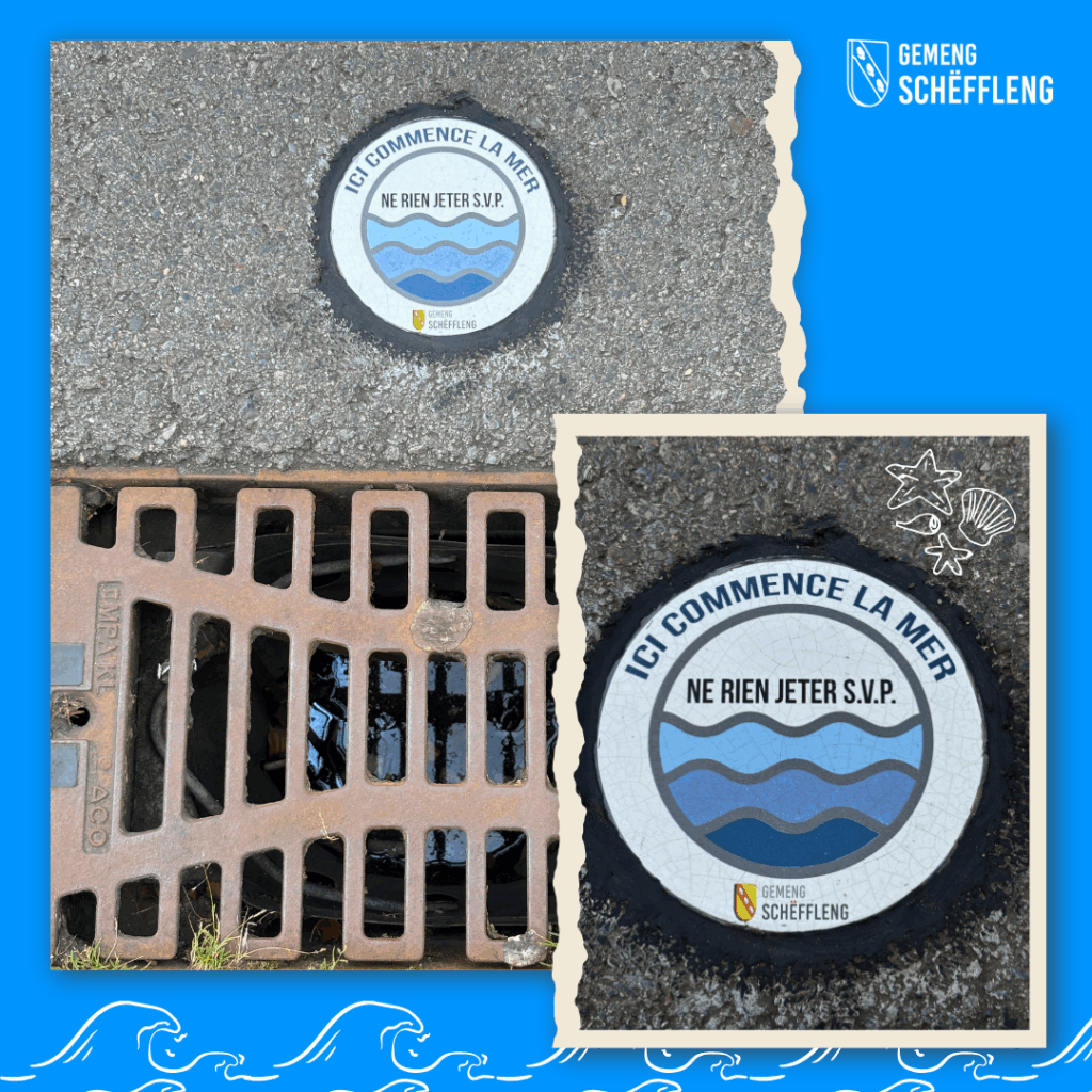 Ici commence la mer… recyclage de mégots à la portée de tous