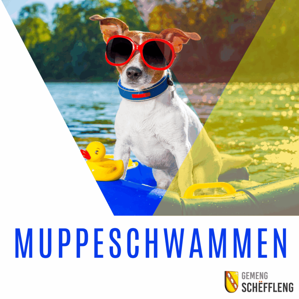 Muppeschwammen – Reservatiounen