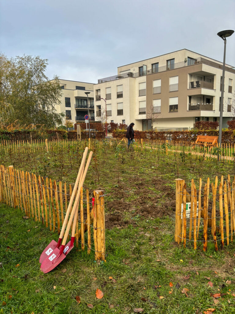 Den 1. Mikrobësch zu Schëffleng ass geplanzt