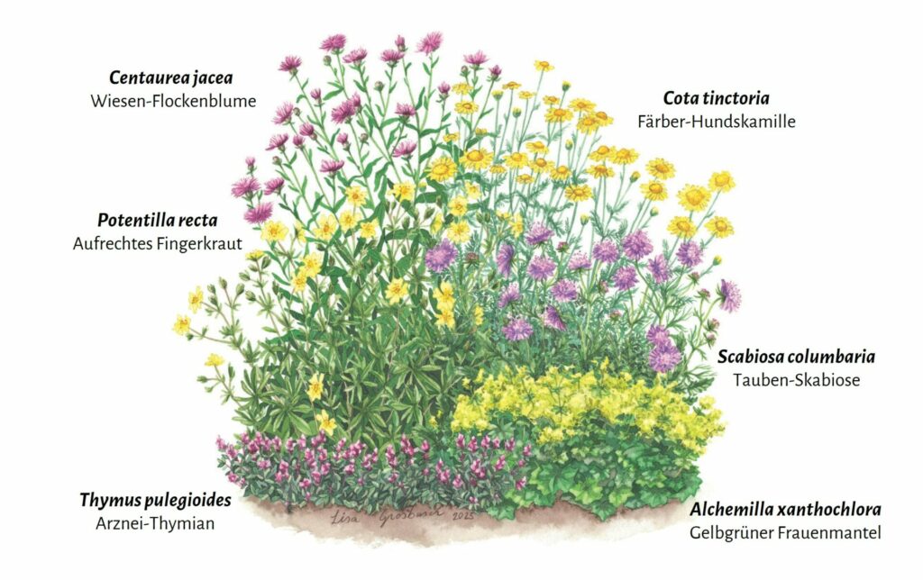 SICONA – Aktioun Päiperlek 2026