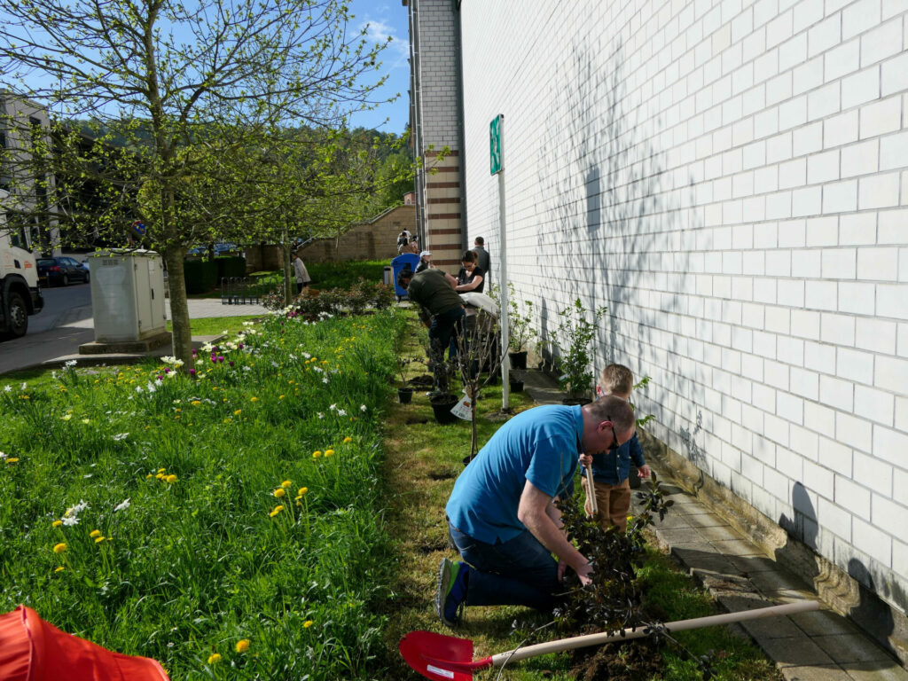 Bamplanzaktioun fir déi Neigebuere vun 2025