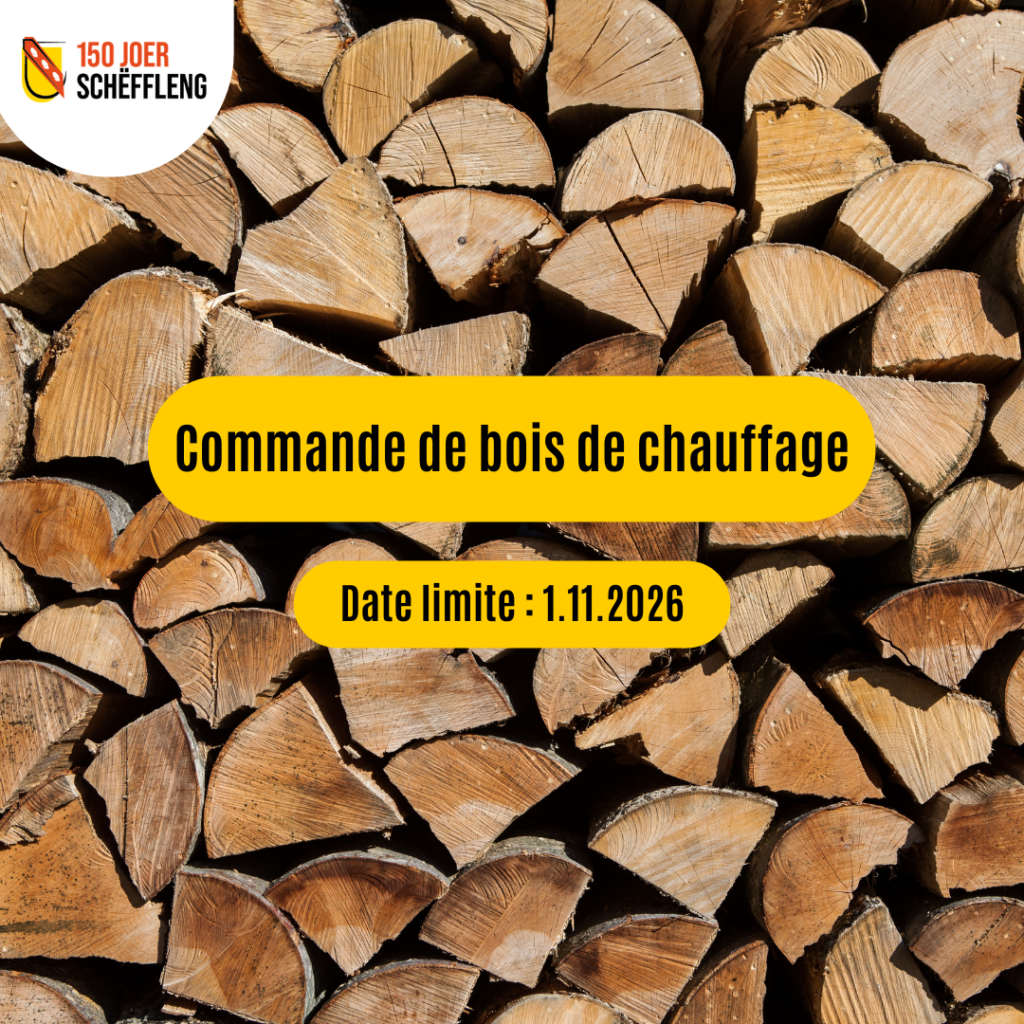Bois de chauffage | Brennholz – Commande