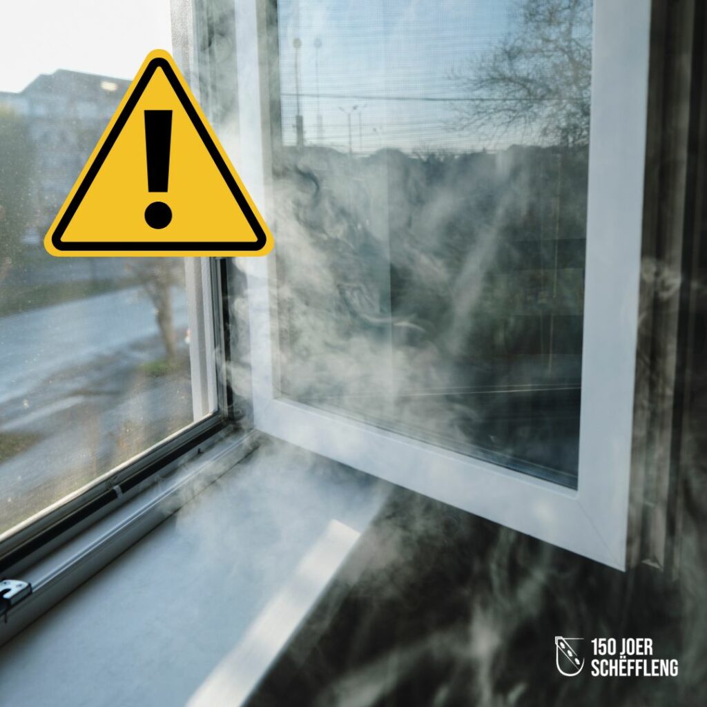 Dampentwécklung duerch Bëschbrand an der Belsch